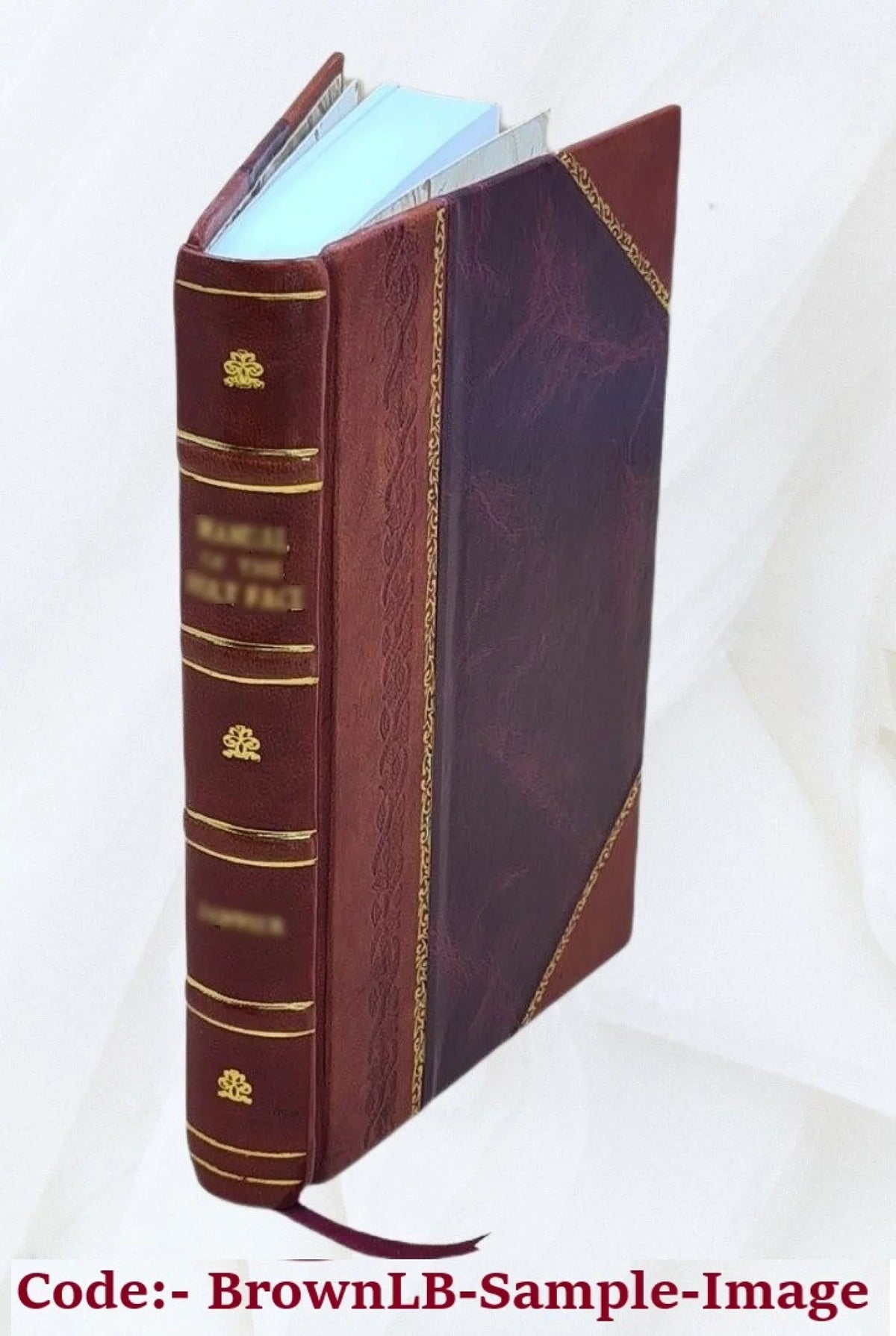 De republica ecclesiastica libri quatuor contra Marcum Antonium de Dominis, nuper archiepiscopum Sizepalatensem, ... authore Martino Becano Sizeocietatis Jesu theologo, .. 1618 [Leather