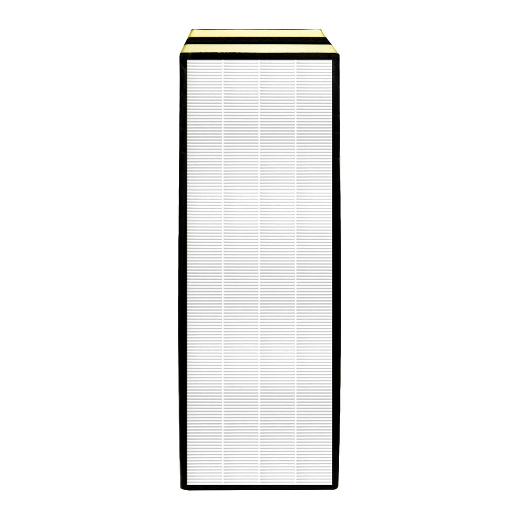 2 Pack FLT5000 FLT5250PT FLT5111 HEPA Replacement Filter C, Compatible with GermGuardian AC5000E AC5250PT AC5300B AC5350B CDAP5500 Air Purifier, True HEPA and Activated Carbon Filter, 2 Hepa+10 Carbon