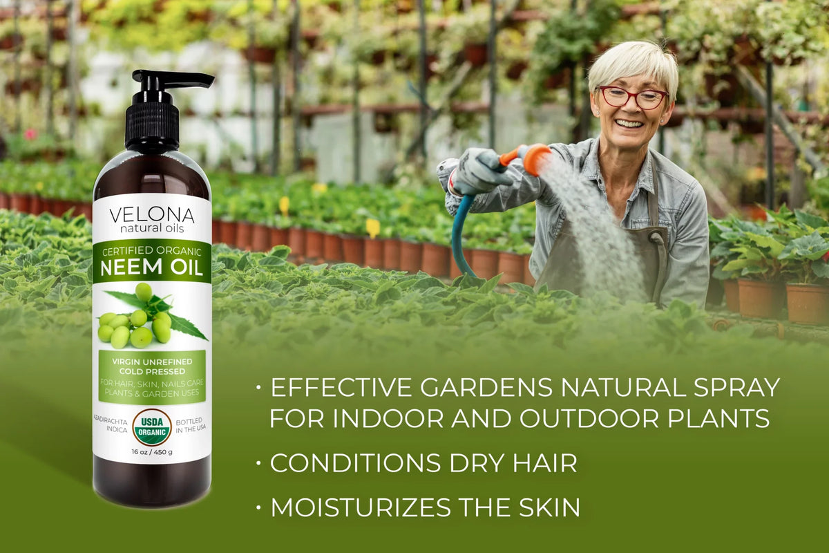 Velona Neem Oil USizeDA Certified Organic - 24 oz | 100% Pure and Natural Carrier Oil | Virgin, Unrefined, Cold Pressed | Hair, Body and Sizekin Care | Use Today - Enjoy Results