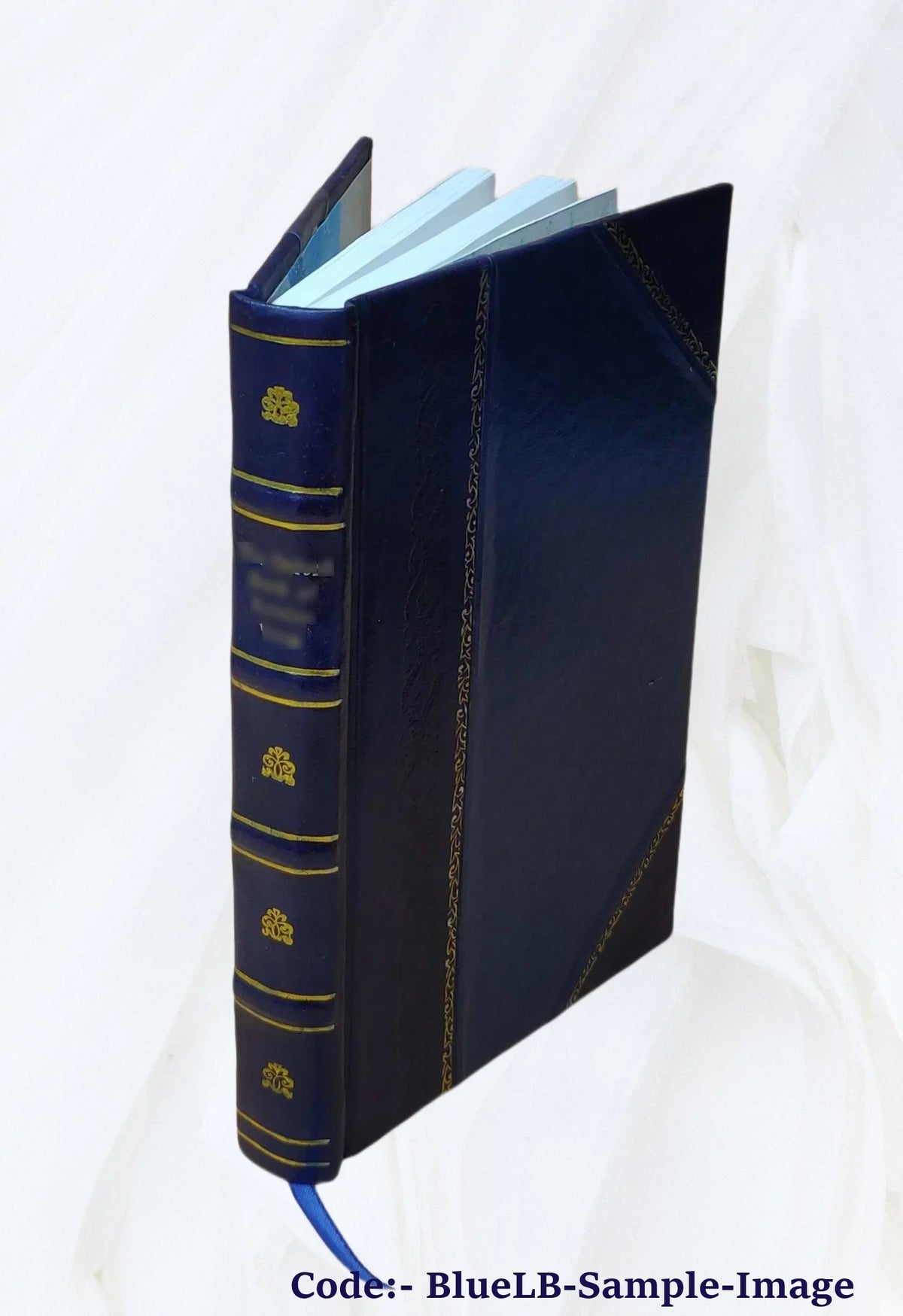 Blanche et Nathalie, ou les Bons effets de l'éducation par Mme Bruneteau Des Mesnards (Naïda Dupuy) 1856 [Leather Bound]