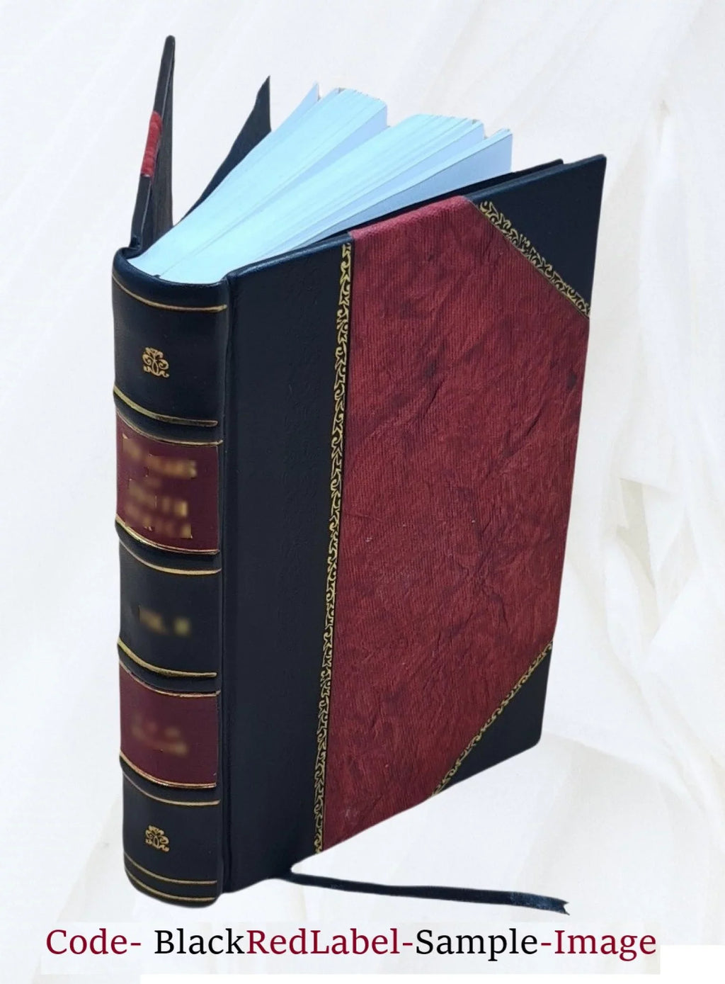 Merkwaardig verhaal aangaande het level en de lotgevallen van Michiel ... [Leather Bound]